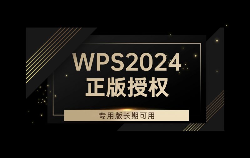 WPS2024正版授权_地方专用版，长期可用~-十一实验室