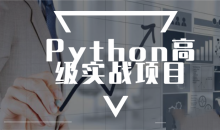 进阶实战 Python高级实战项目完整版