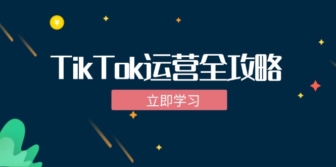 TikTok实战运营全攻略：从下载软件到变现，抖音海外版实操教程-十一实验室