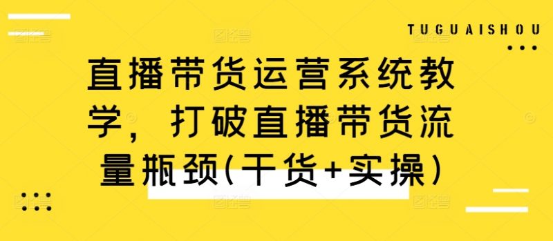 直播带货运营系统教学,打破直播带货流量瓶颈(干货+实操)-十一实验室