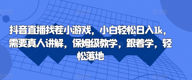 抖音直播找茬小游戏，小白轻松日入1k，需要真人讲解，保姆级教学，跟着学，轻松落地【揭秘】-十一实验室